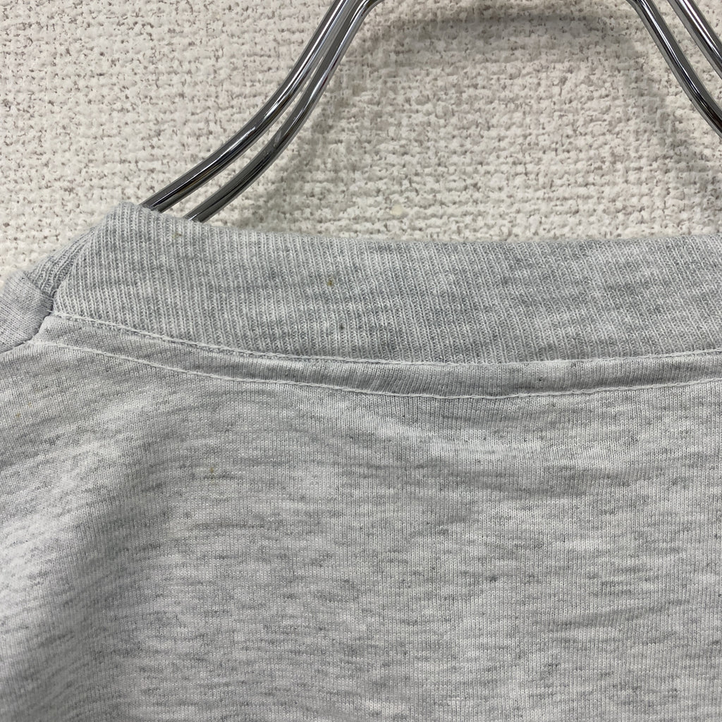 FRUIT OF THE LOOM　フルーツオブザルーム　長袖プリントTシャツ/ロンT　霜降りグレー　Lサイズ　古着