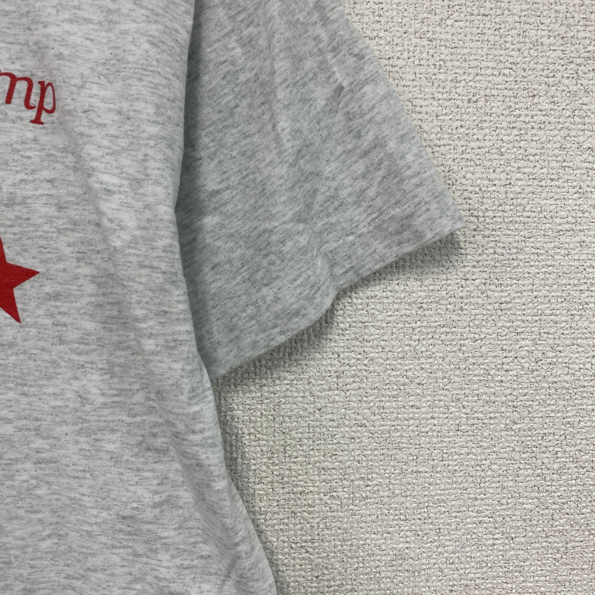 FRUIT OF THE LOOM　フルーツオブザルーム　半袖プリントTシャツ　シングルステッチ　ヴィンテージ　グレー　Mサイズ　古着