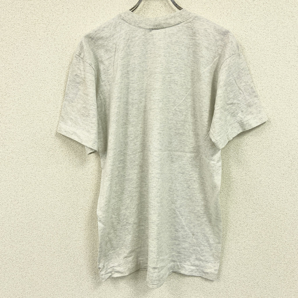 the fun ships　半袖プリントTシャツ　シングルステッチ　ヴィンテージ　霜降りグレー　Lサイズ カットソー メンズ コットン 古着