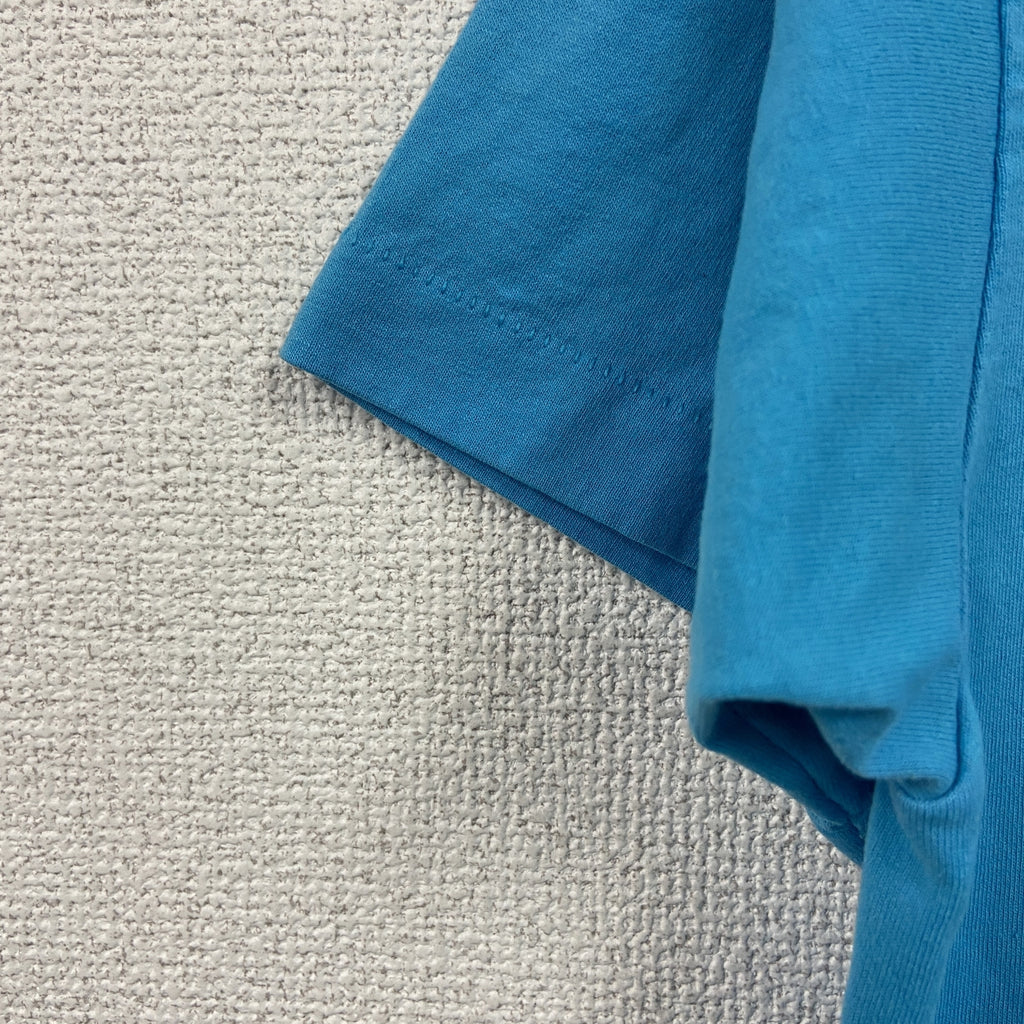 FRUIT OF THE LOOM　フルーツオブザルーム　半袖プリントTシャツ　シングルステッチ　ヴィンテージ　青　ブルー　Mサイズ　古着