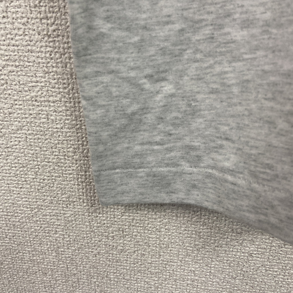 FRUIT OF THE LOOM　フルーツオブザルーム　半袖プリントTシャツ　シングルステッチ　ヴィンテージ　霜降りグレー　Lサイズ カットソー メンズ コットン 古着
