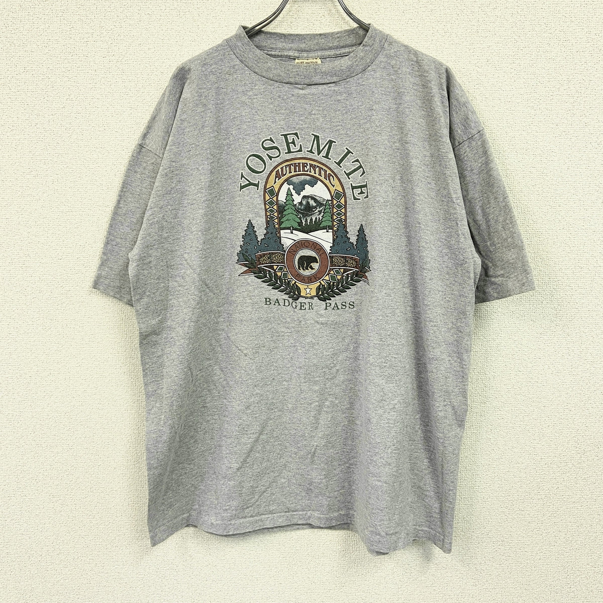 PRAIRIE MOUNTAIN　半袖プリントTシャツ　シングルステッチ　ヴィンテージ　グレー　XXLサイズ カットソー メンズ コットン 古着