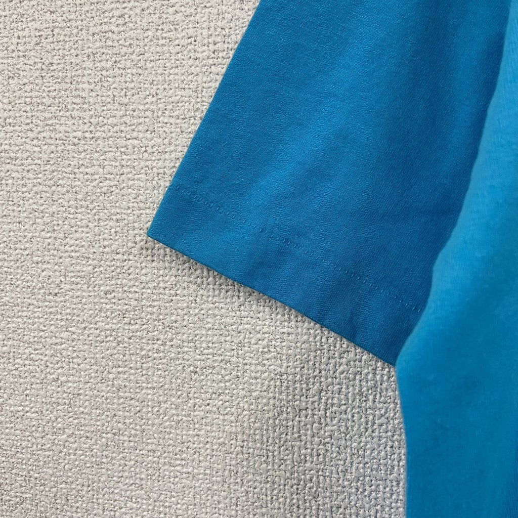 FRUIT OF THE LOOM　フルーツオブザルーム　半袖プリントTシャツ　シングルステッチ　ヴィンテージ　青　ブルー　XLサイズ カットソー メンズ コットン 古着