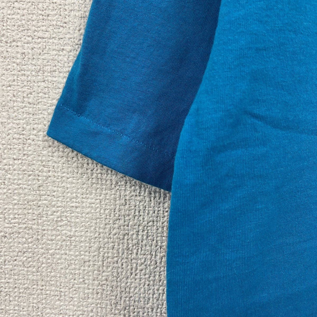 Hanes　ヘインズ　半袖プリントTシャツ　シングルステッチ　ヴィンテージ　青　ブルー　Lサイズ カットソー メンズ コットン 古着
