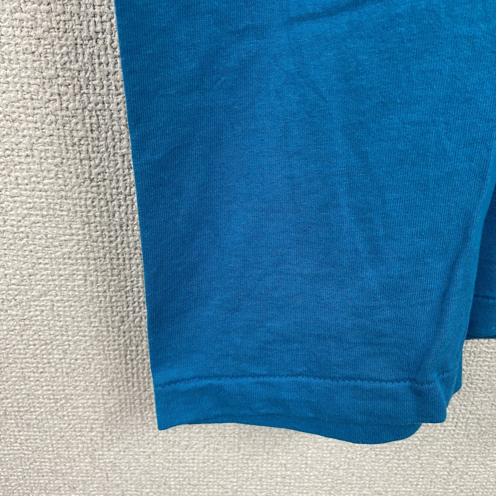 Hanes　ヘインズ　半袖プリントTシャツ　シングルステッチ　ヴィンテージ　青　ブルー　Lサイズ カットソー メンズ コットン 古着