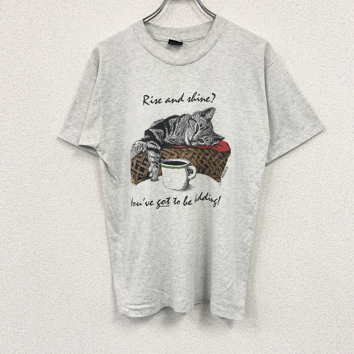 FRUIT OF THE LOOM　フルーツオブザルーム　半袖プリントTシャツ　シングルステッチ　ヴィンテージ　灰色　グレー　Mサイズ　古着