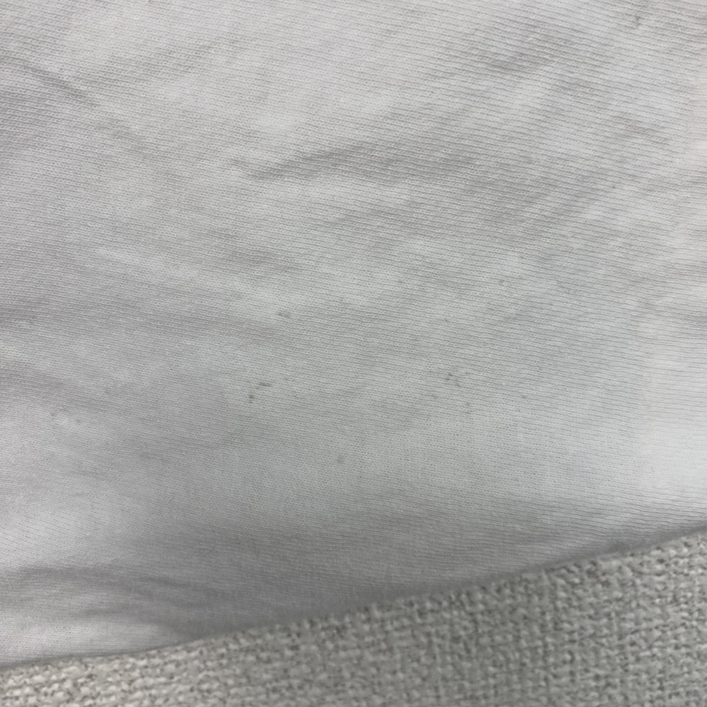 Alore　アローレ　半袖プリントTシャツ　シングルステッチ　ヴィンテージ　白　ホワイト　XLサイズ　古着