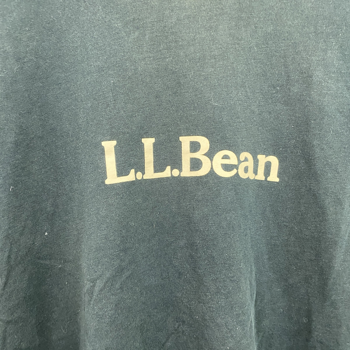 L.L.Bean　エルエルビーン　半袖プリントTシャツ　深緑　ディープグリーン　Lサイズ　古着