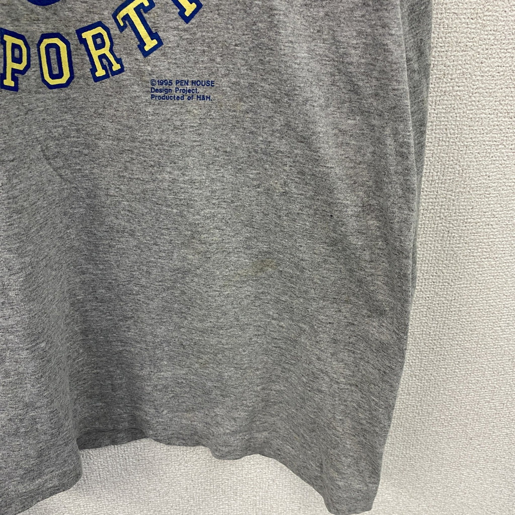 90s～　Signal Sports　シグナルスポーツ　長袖Tシャツ/ロンT　アーチプリント　3連プリント　ヴィンテージ　灰色　グレー　Lサイズ カットソー メンズ コットン 古着