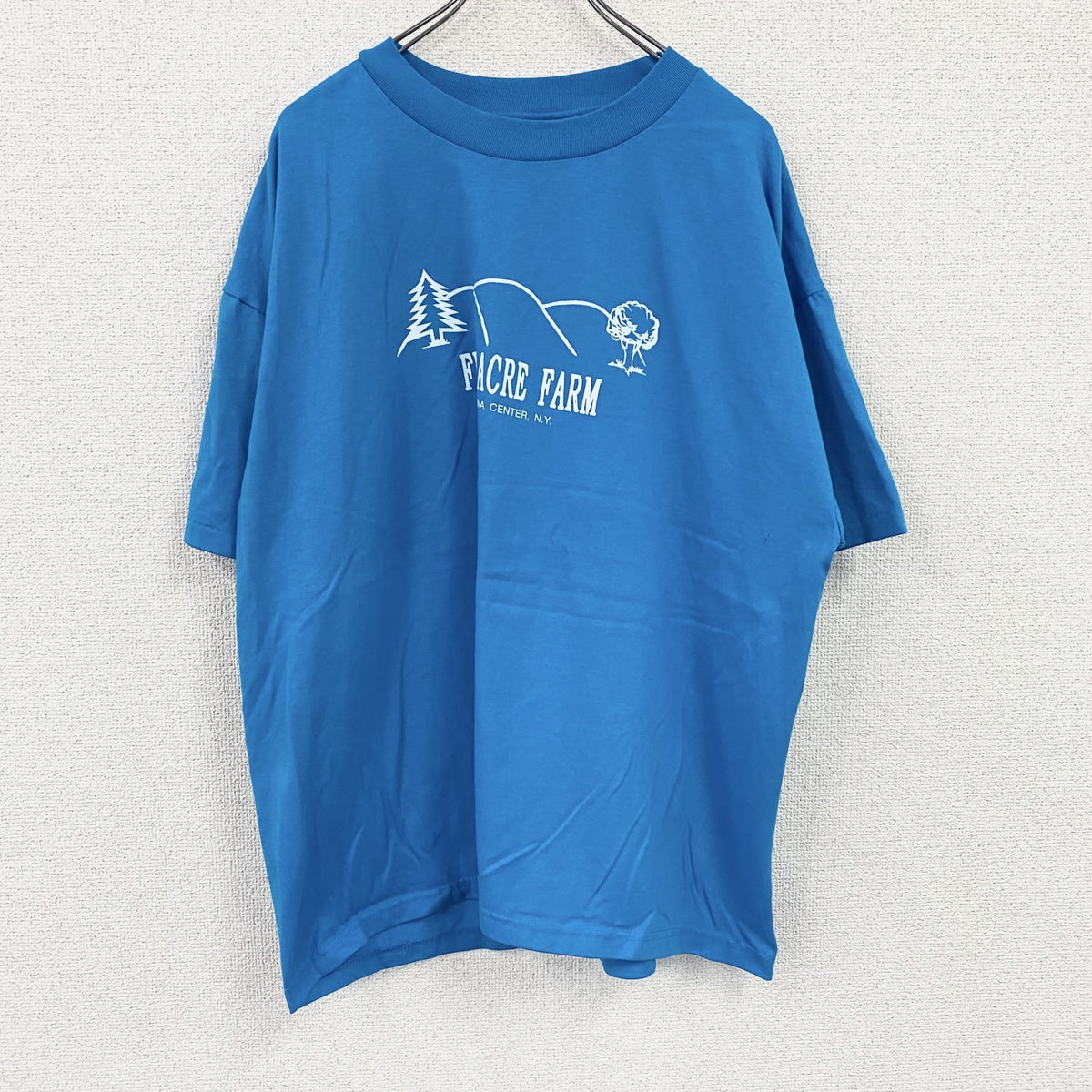 Hanes　ヘインズ　半袖プリントTシャツ　シングルステッチ　ヴィンテージ　水色　ライトブルー　XLサイズ カットソー メンズ コットン 古着