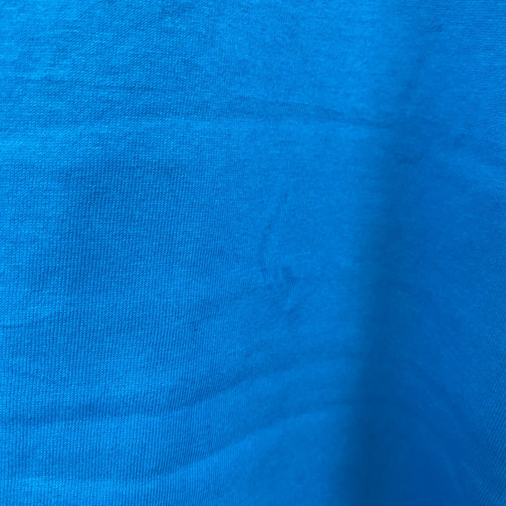 Hanes　ヘインズ　半袖プリントTシャツ　シングルステッチ　ヴィンテージ　水色　ライトブルー　XLサイズ カットソー メンズ コットン 古着