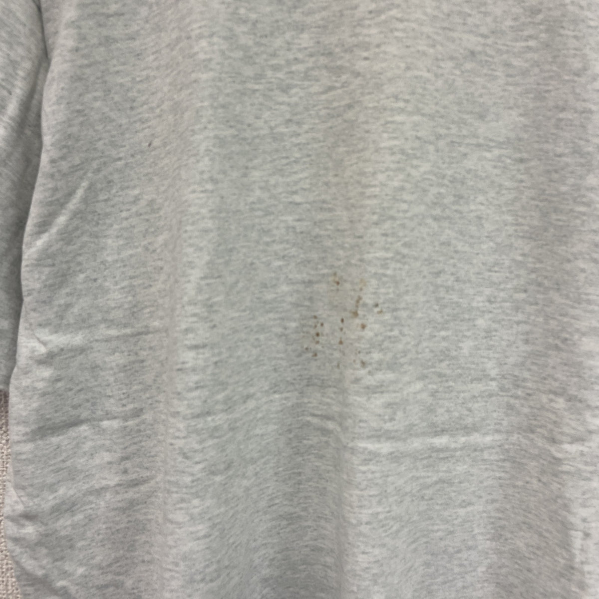 FRUIT OF THE LOOM　フルーツオブザルーム　半袖プリントTシャツ　シングルステッチ　アニマル　グレー　XLサイズ カットソー メンズ コットン 古着