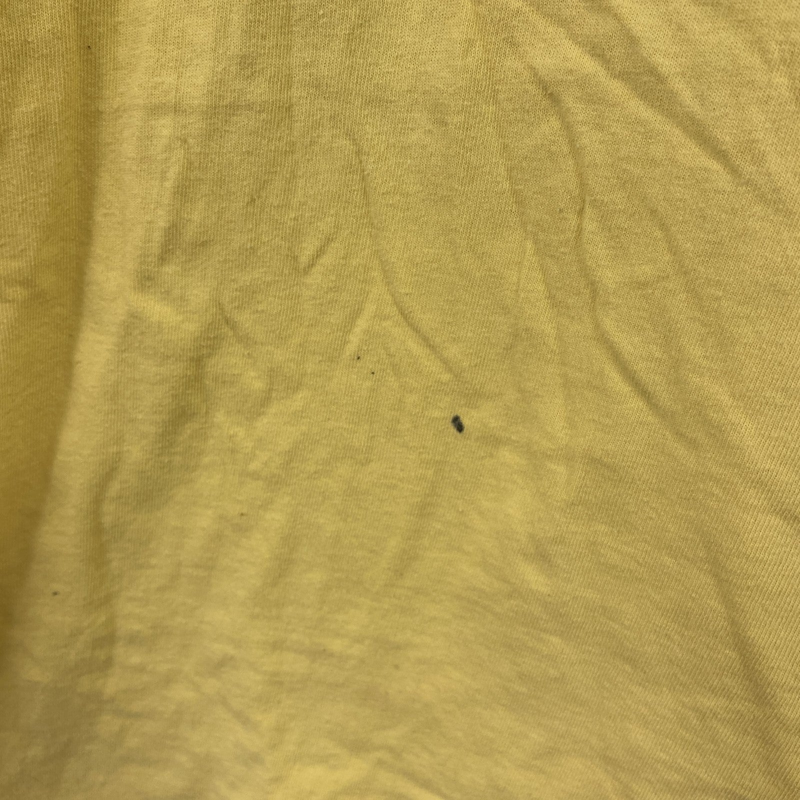 DELTA PRO WEIGHT　半袖プリントTシャツ　熱帯魚　献血　黄色　イエロー　XLサイズ　古着