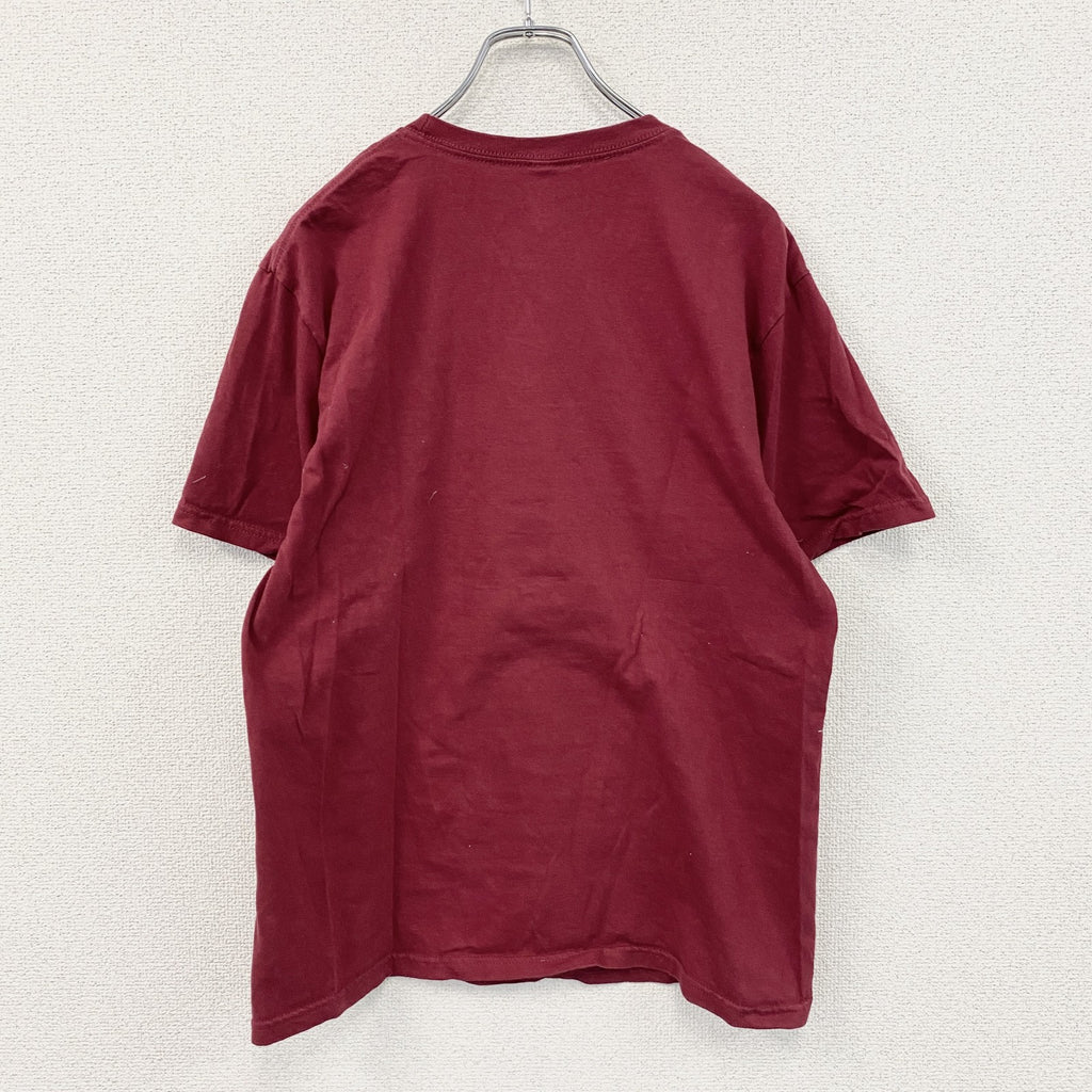 PORT&COMPANY　半袖プリントTシャツ　アーチプリント　3連プリント　赤　レッド　Mサイズ カットソー メンズ コットン 古着