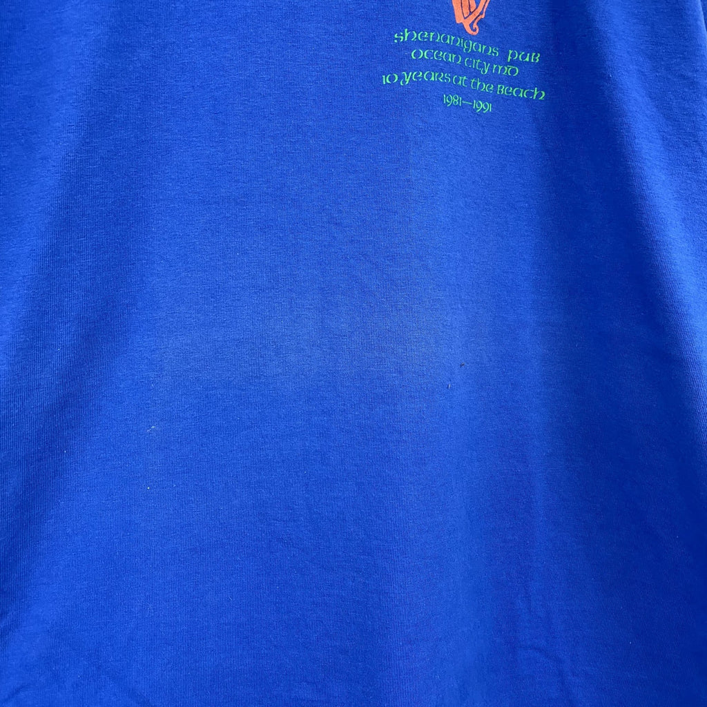 FRUIT OF THE LOOM　半袖プリントTシャツ　シングルステッチ　ヴィンテージ　青　ブルー　XLサイズ カットソー メンズ コットン 古着