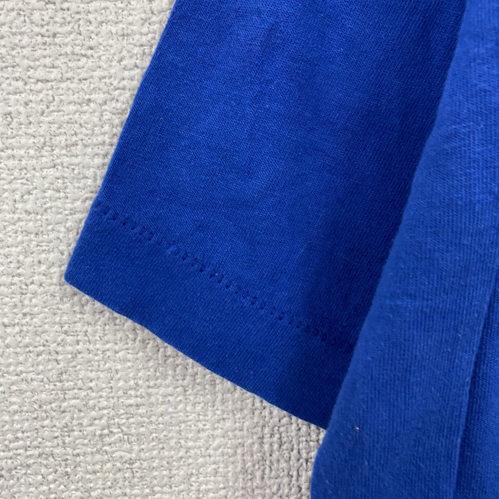 FRUIT OF THE LOOM　半袖プリントTシャツ　シングルステッチ　ヴィンテージ　青　ブルー　XLサイズ カットソー メンズ コットン 古着