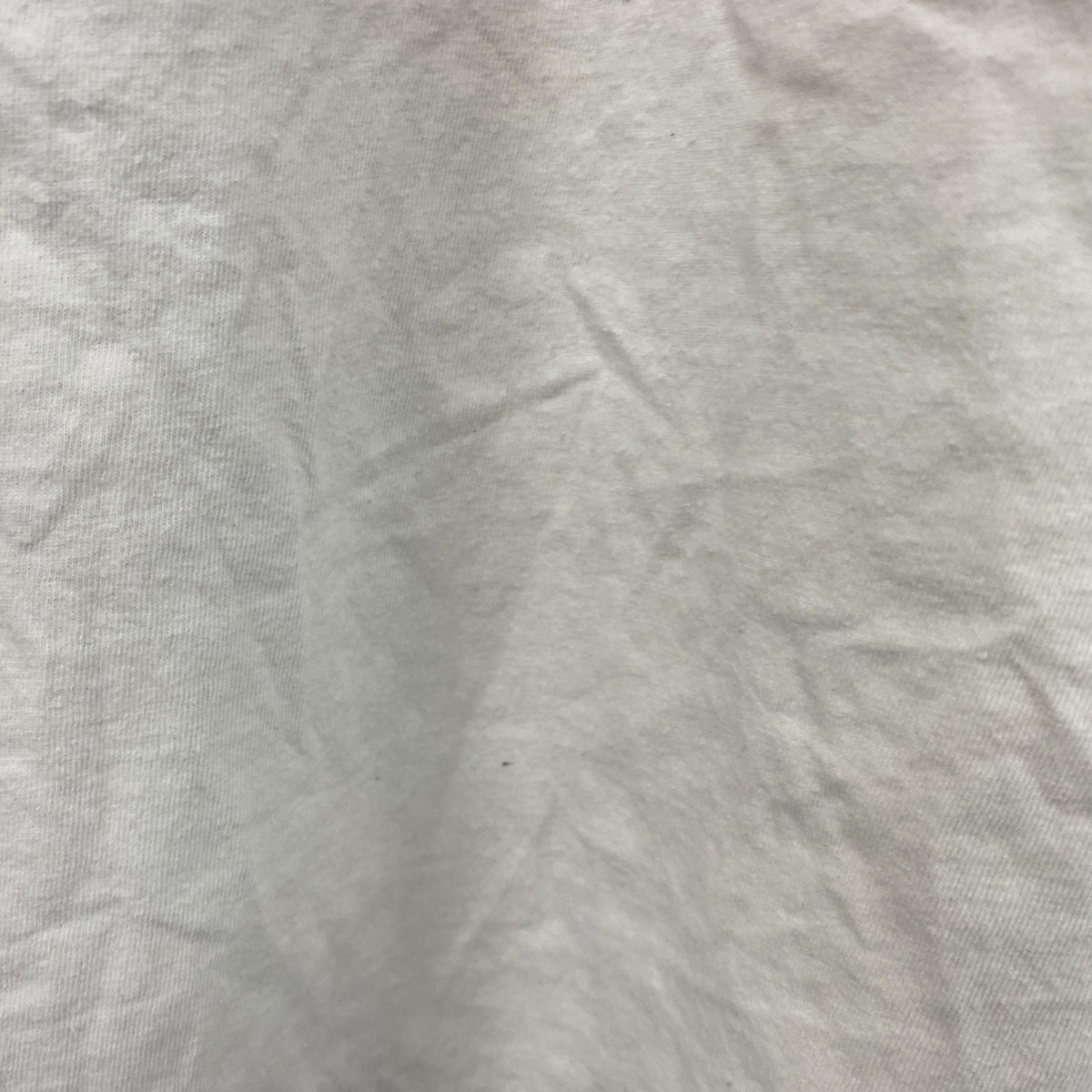 00s　Hanes　半袖プリントTシャツ　星条旗　ヴィンテージ　白　ホワイト　XLサイズ　古着