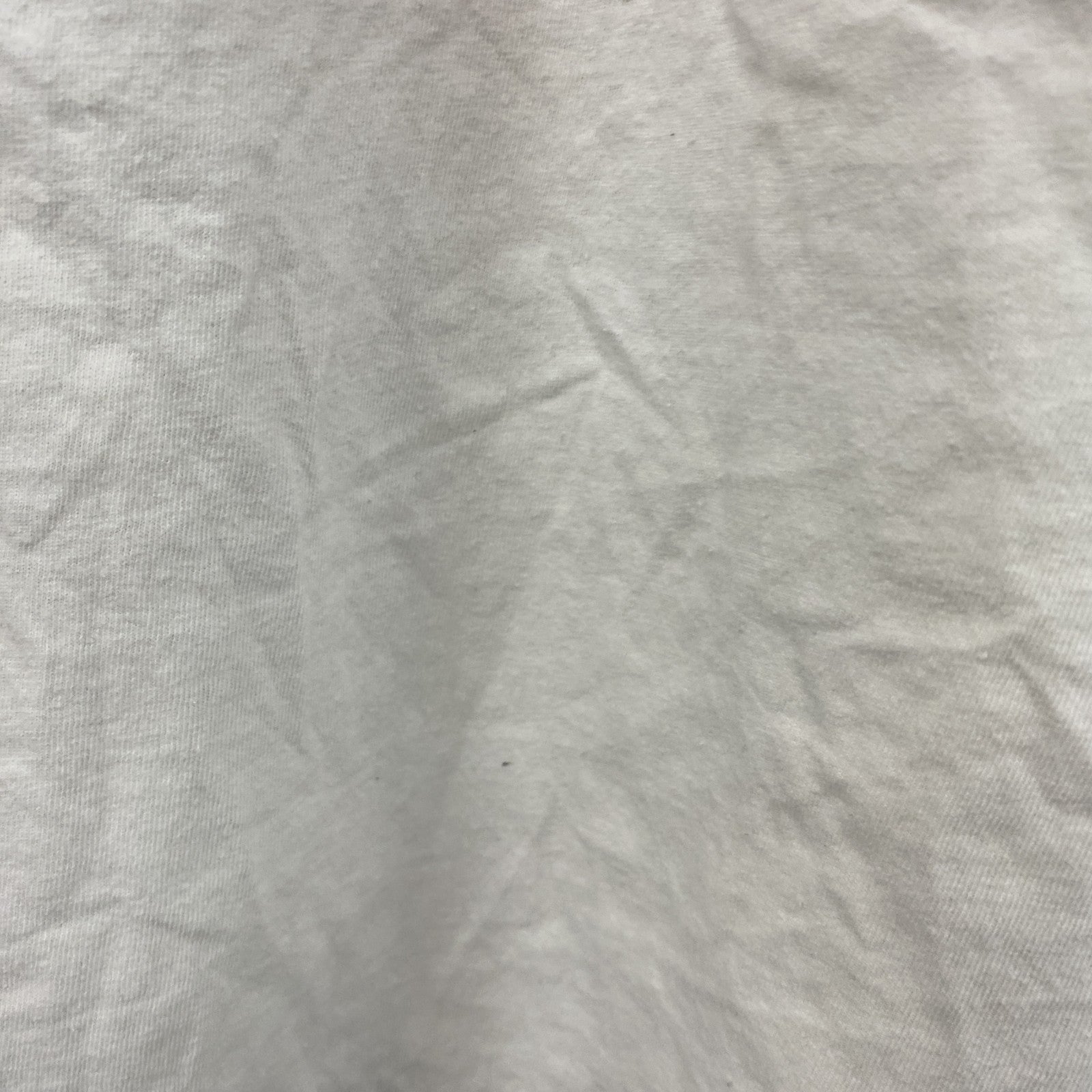 00s　Hanes　半袖プリントTシャツ　星条旗　ヴィンテージ　白　ホワイト　XLサイズ　古着