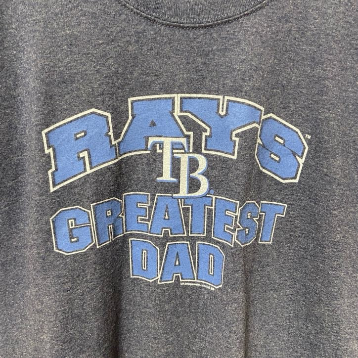 MLB　メジャーリーグ　RAYS　タンパベイ レイズ　半袖プリントTシャツ　野球　ネイビー　紺　レトロ　Lサイズ　古着