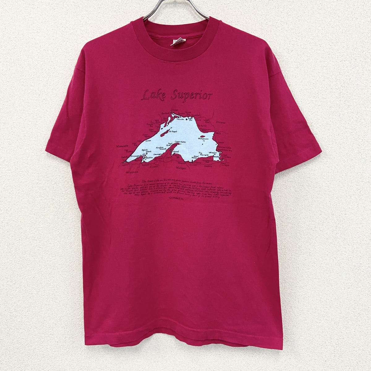 90s　FRUIT OF THE LOOM　半袖プリントTシャツ　ヴィンテージ　シングルステッチ　ピンク　Lサイズ　古着