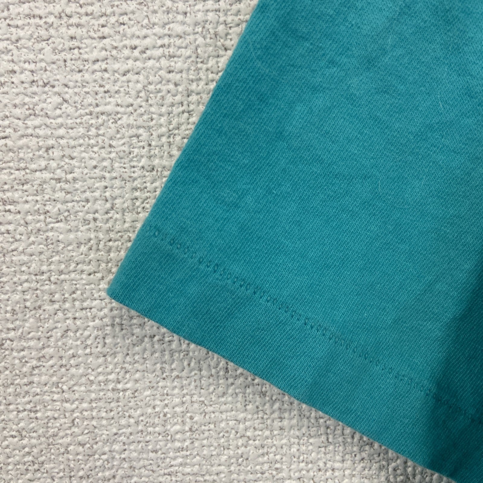 90s　Desert Heat　半袖プリントアニマルTシャツ　刺繍ロゴ　シングルステッチ　ヴィンテージ　水色　ブルー　Lサイズ　古着
