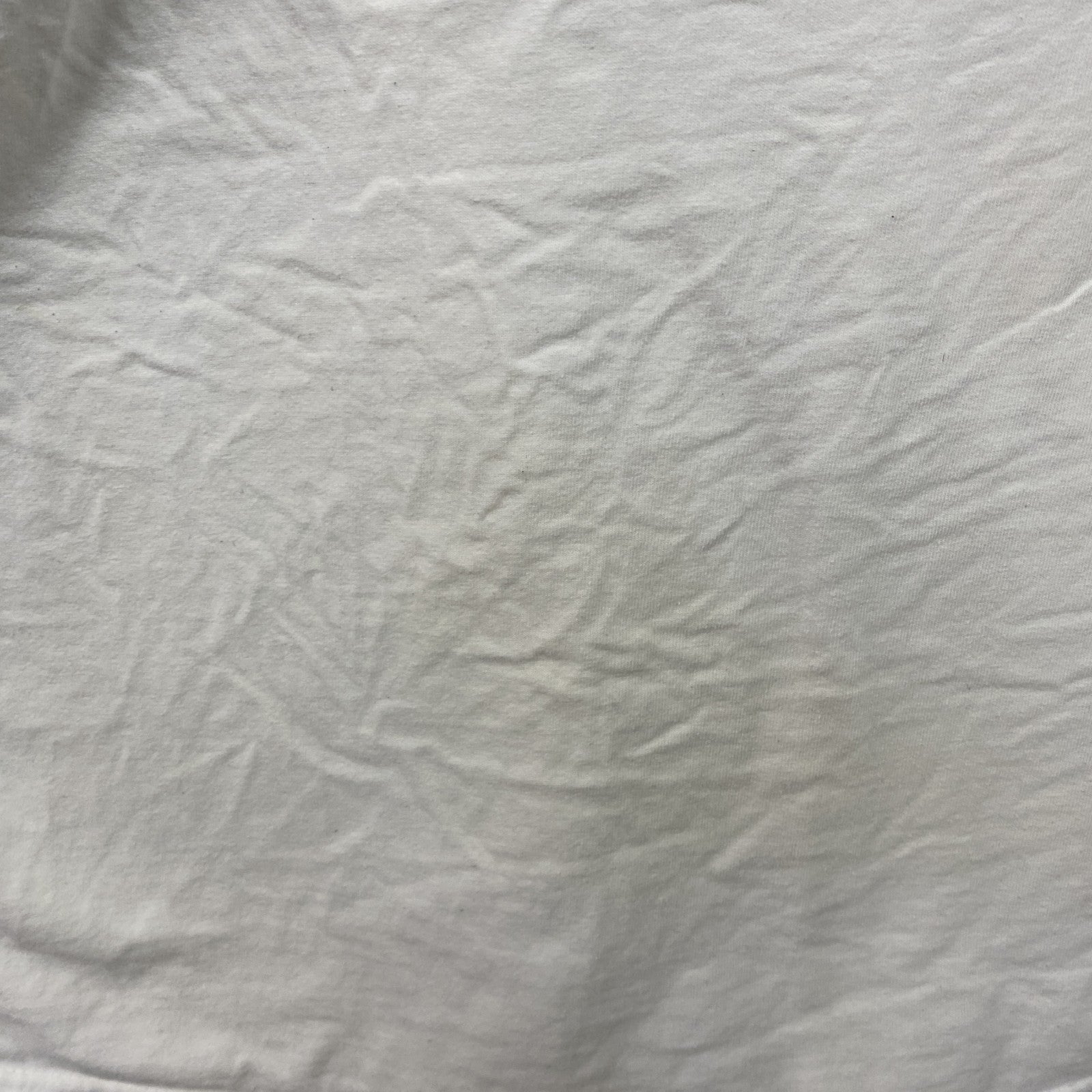 半袖Tシャツ　SCHLUCKSPECHT　アルコール　キツツキ　鳥　白　ホワイト　　古着