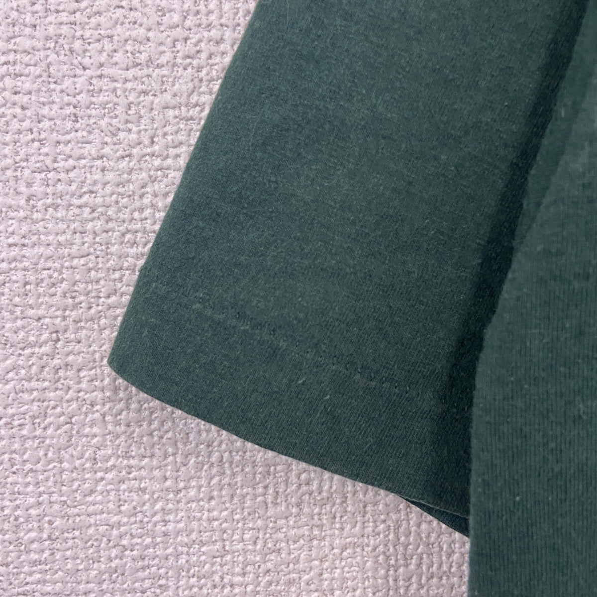 FRUIT OF THE LOOM　フルーツオブザルーム　半袖プリントTシャツ　シングルステッチ　深緑　Lサイズ カットソー メンズ コットン 古着