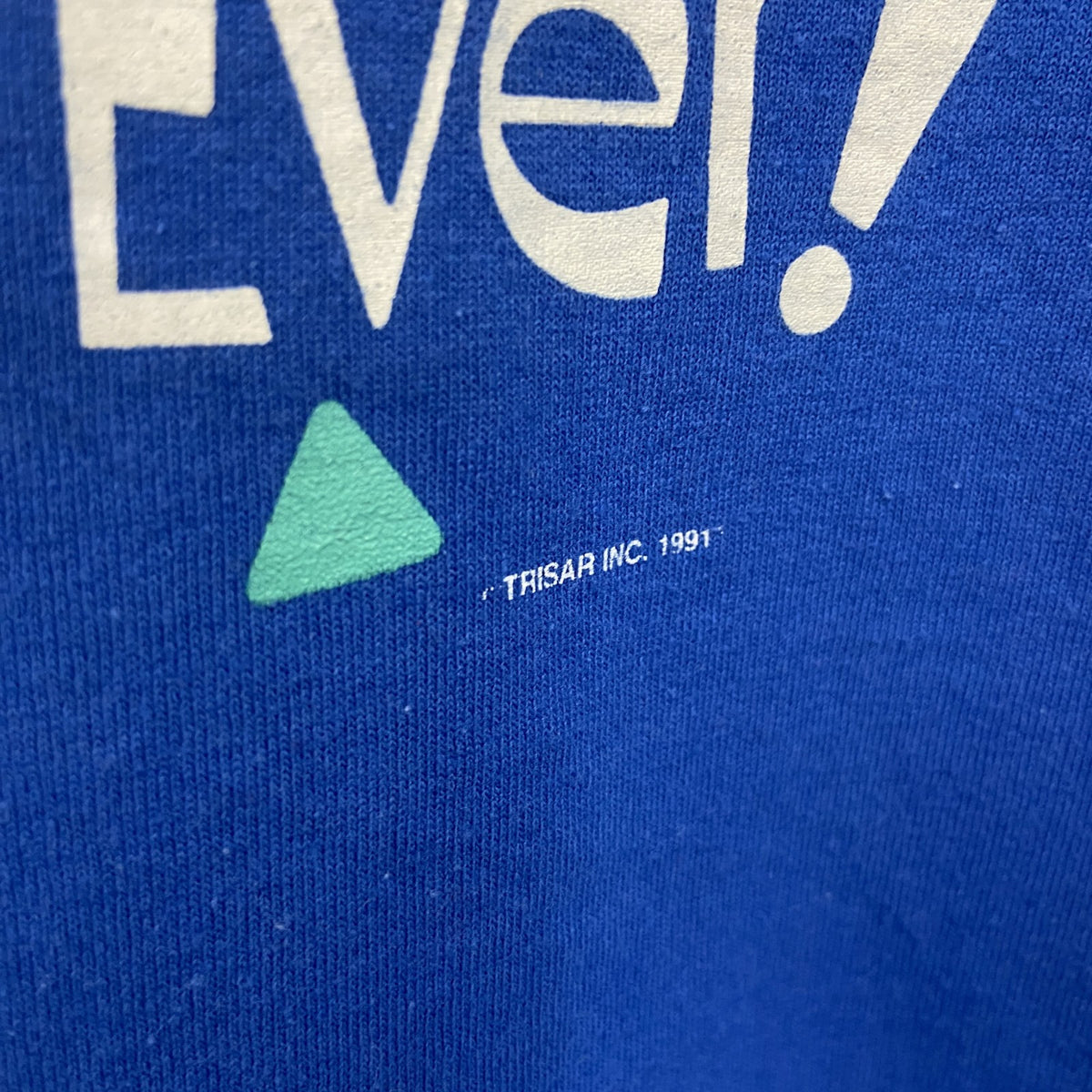Hanes　ヘインズ　半袖プリントTシャツ　シングルステッチ　青　ブルー　Lサイズ カットソー メンズ コットン 古着