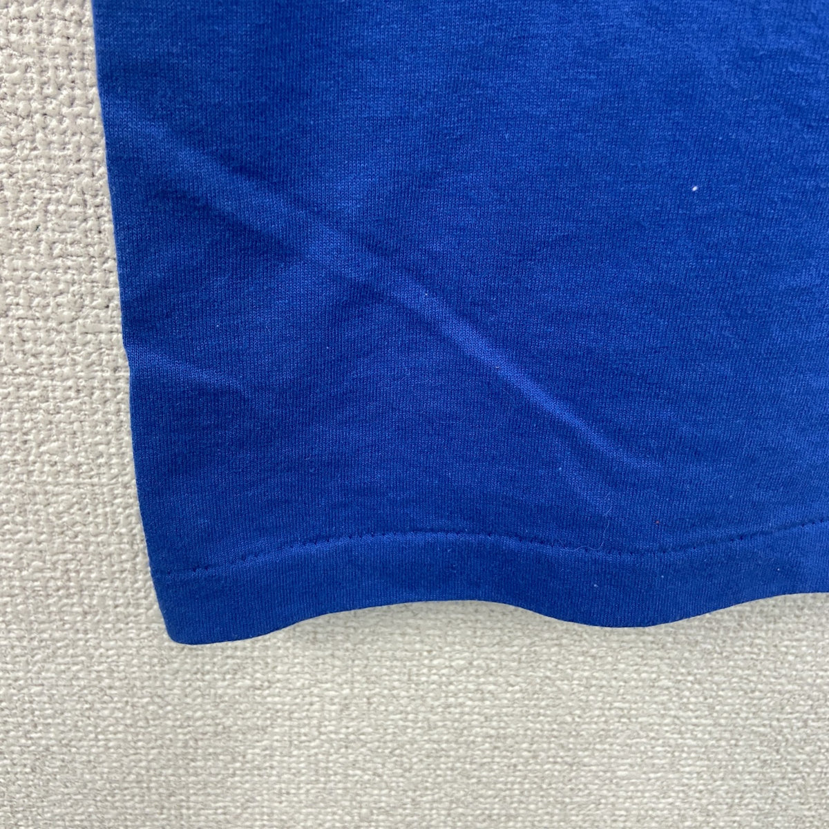 Hanes　ヘインズ　半袖プリントTシャツ　シングルステッチ　青　ブルー　Lサイズ カットソー メンズ コットン 古着