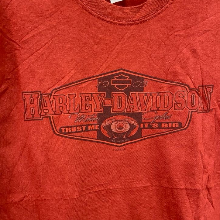 00s　HARLEY DAVIDSON　ハーレーダビッドソン　半袖プリントTシャツ　ヴィンテージ　オレンジ　Lサイズ