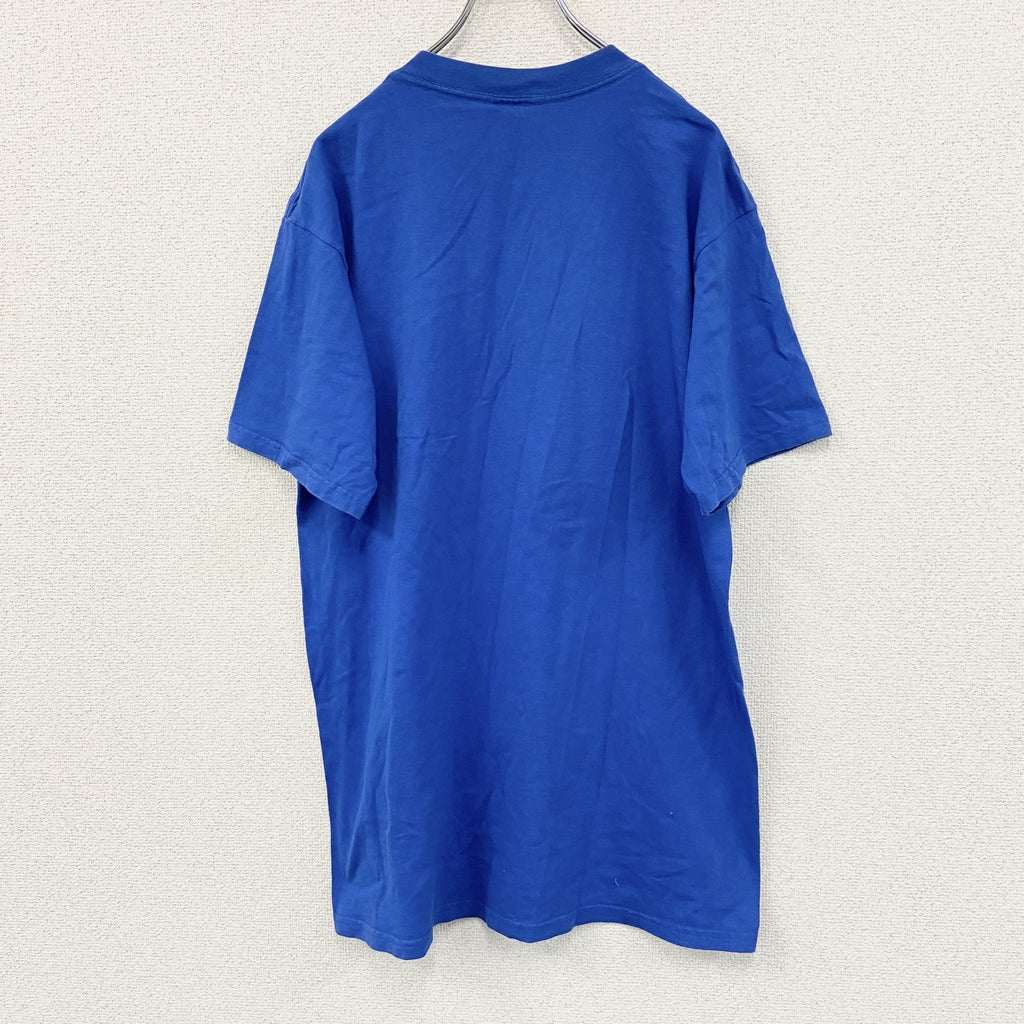 ～00s　TULTEX　タルテックス　半袖Ｔシャツ　刺繍ロゴ　ヴィンテージ　青　ブルー　Lサイズ　古着