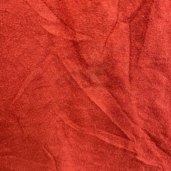 00s　HARLEY DAVIDSON　ハーレーダビッドソン　半袖プリントTシャツ　ヴィンテージ　オレンジ　Lサイズ