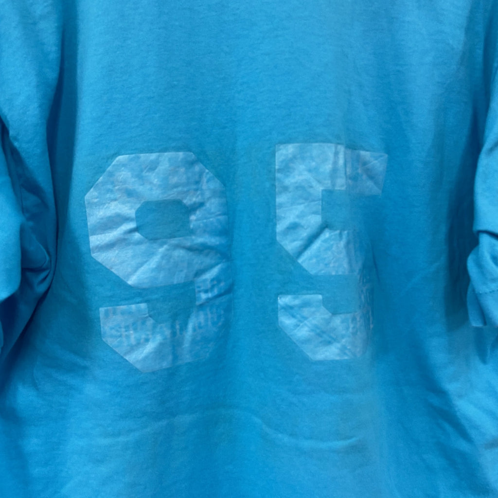FRUIT OF THE LOOM　フルーツオブザルーム　半袖プリントTシャツ　シングルステッチ　水色　ライトブルー　Lサイズ カットソー メンズ コットン 古着