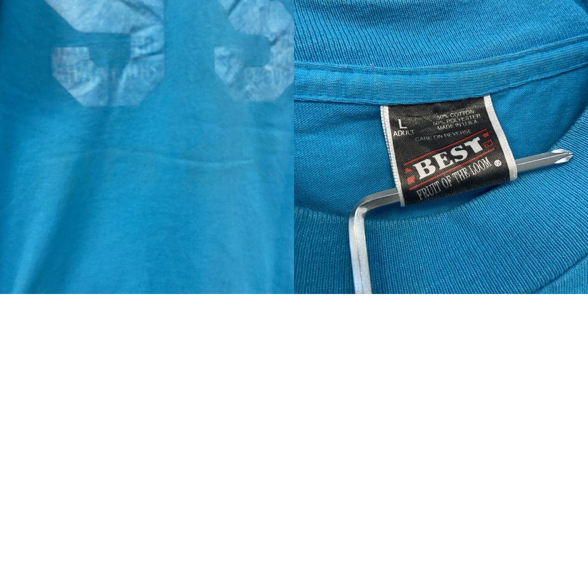 FRUIT OF THE LOOM　フルーツオブザルーム　半袖プリントTシャツ　シングルステッチ　水色　ライトブルー　Lサイズ カットソー メンズ コットン 古着
