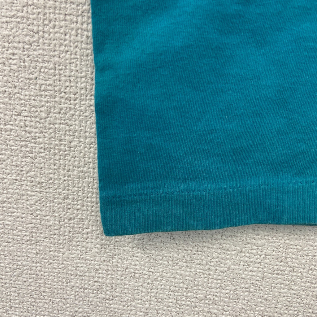 FRUIT OF THE LOOM　フルーツオブザルーム　半袖プリントTシャツ　シングルステッチ　水色　ライトブルー　Mサイズ カットソー メンズ コットン 古着