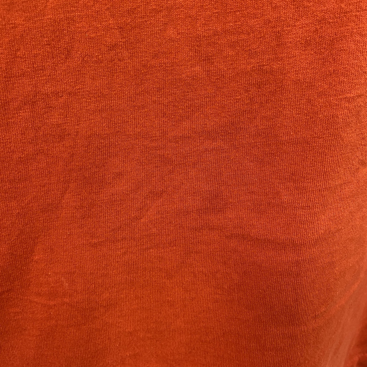AMERICA PROJECT　半袖プリントTシャツ　シングルステッチ　オレンジ　Lサイズ カットソー メンズ コットン 古着