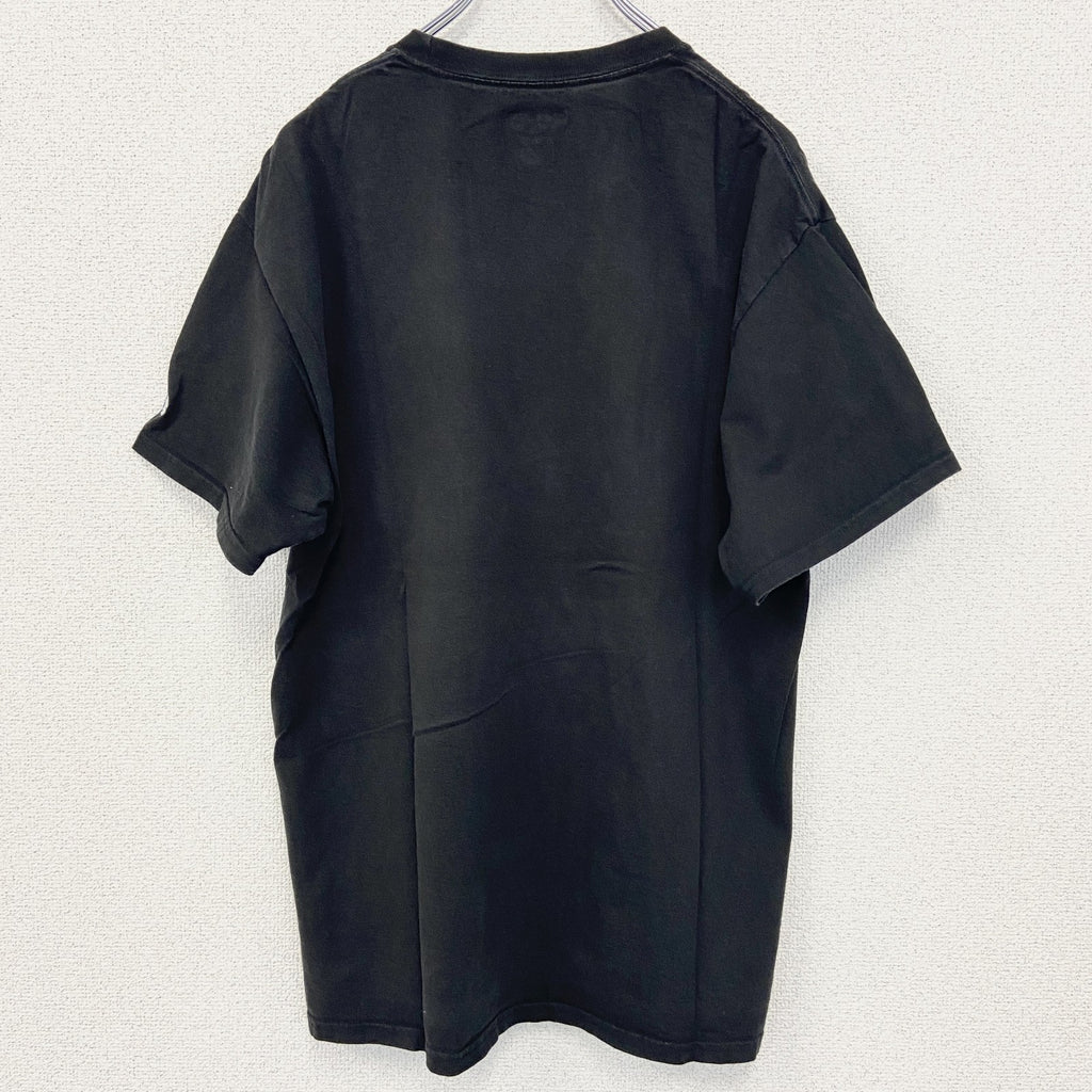 champion チャンピオン　半袖カレッジプリントTシャツ　オネオンタ大学　クルーネック　レトロ　Lサイズ　古着