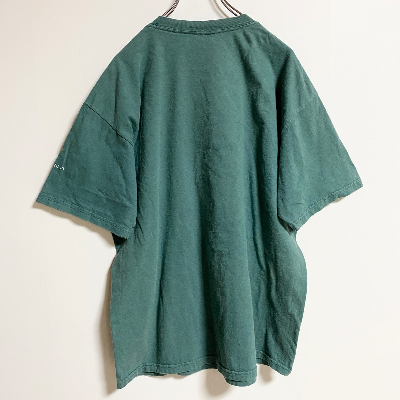 古着 used　TULTEX　半袖アニマル柄プリントTシャツ　鳥　鷲　緑　グリーン　春夏服　ビッグシルエット　XLサイズ