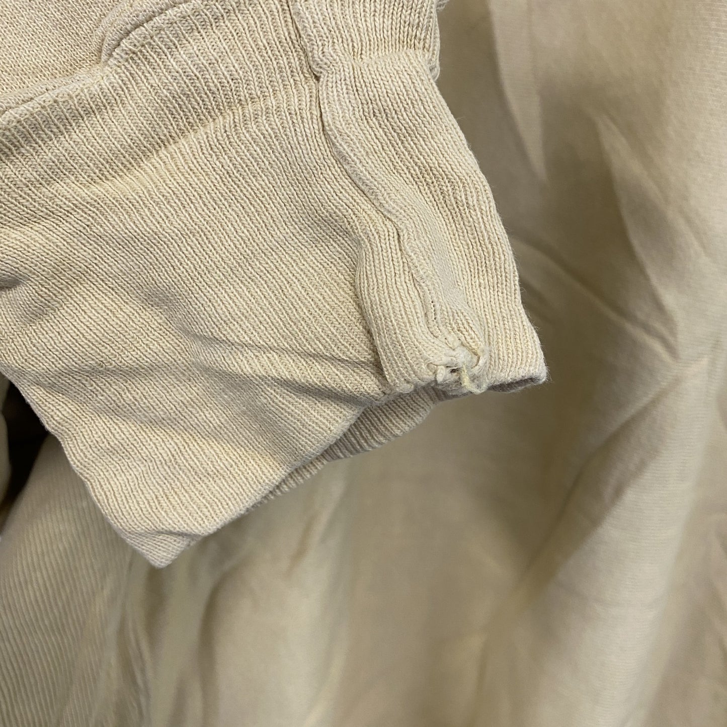 Champion　チャンピオン　プレミアムリバースウィーブ　スウェット/トレーナー　黄色　イエロー　