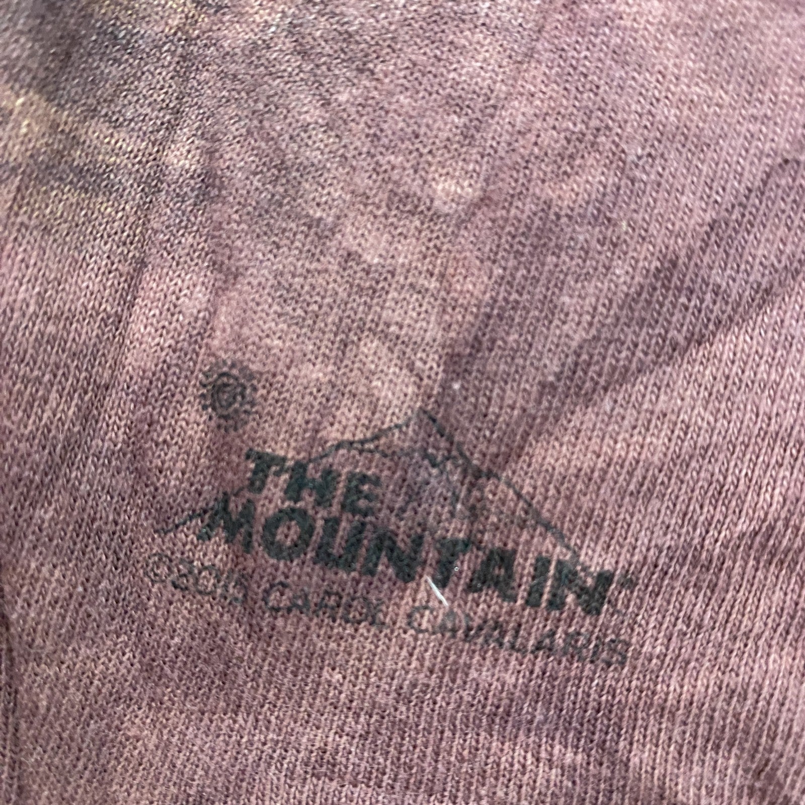 THE MOUNTAIN　ザマウンテン　半袖プリントTシャツ　アニマルT　タイダイ　ワインレッド　XLサイズ　古着