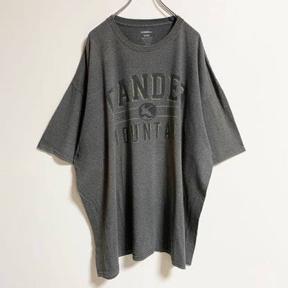 古着 used　GANDER　半袖ロゴプリントTシャツ　クルーネック　グレー　春夏服　ビッグシルエット　3XLサイズ