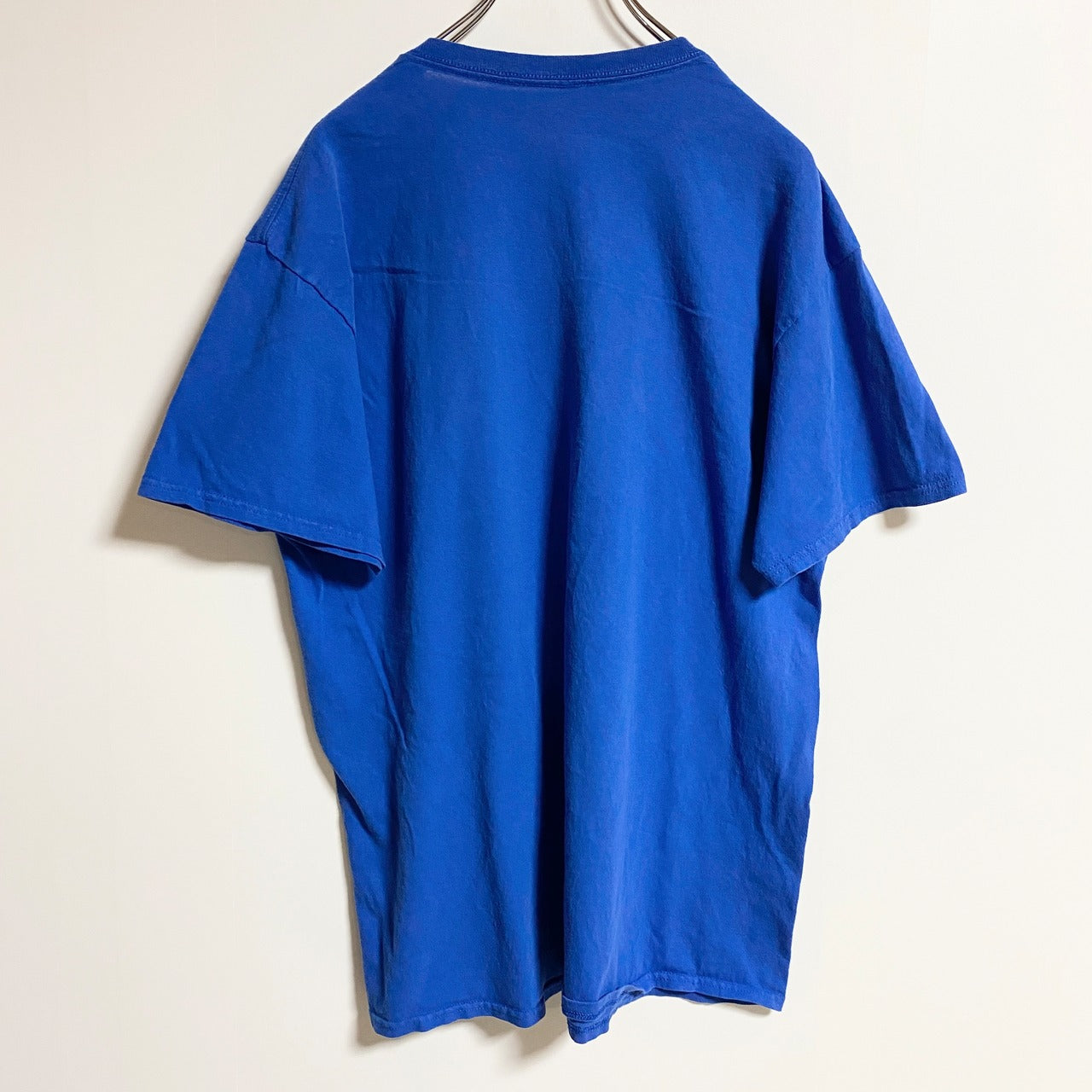 REALTREE　半袖プリントTシャツ　クルーネック　魚　fish　釣り　青　ブルー　春夏服　Lサイズ　古着