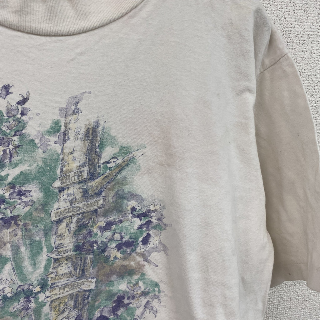 90s～　NORTHERN REFLECTIONS　半袖Tシャツ　アートT　シングルステッチ　白　ホワイト　Lサイズ　　ヴィンテージ　古着