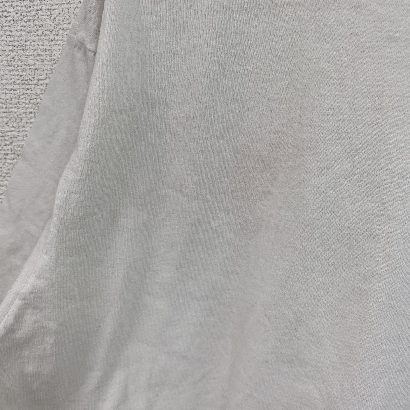 90s～　NORTHERN REFLECTIONS　半袖Tシャツ　アートT　シングルステッチ　白　ホワイト　Lサイズ　　ヴィンテージ　古着