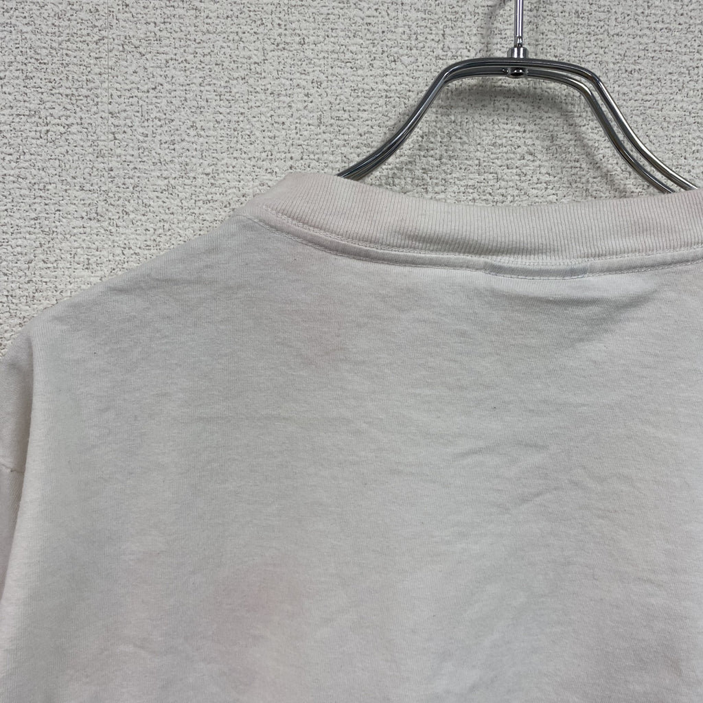 90s～　NORTHERN REFLECTIONS　半袖Tシャツ　アートT　シングルステッチ　白　ホワイト　Lサイズ　　ヴィンテージ　古着