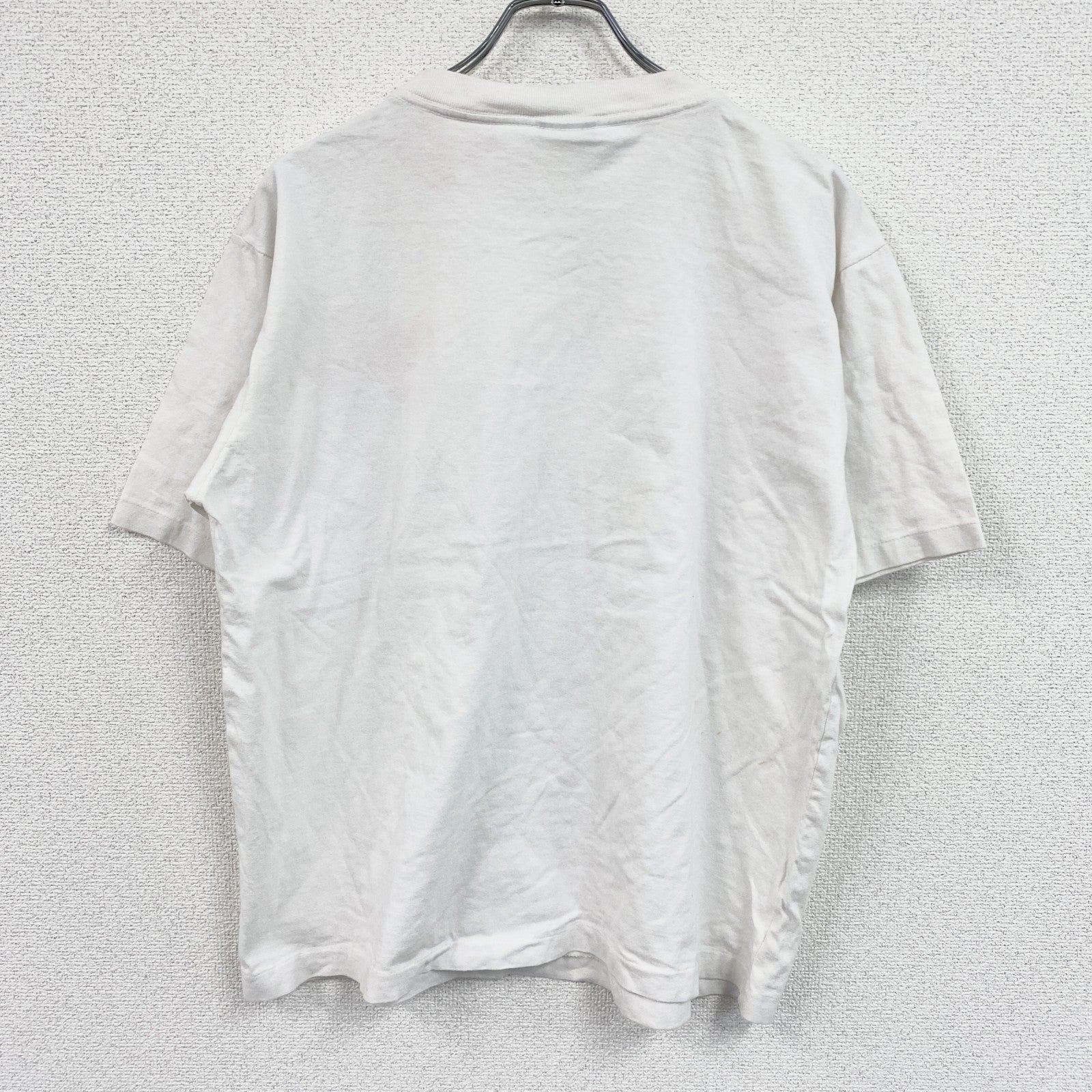 90s～　NORTHERN REFLECTIONS　半袖Tシャツ　アートT　シングルステッチ　白　ホワイト　Lサイズ　　ヴィンテージ　古着