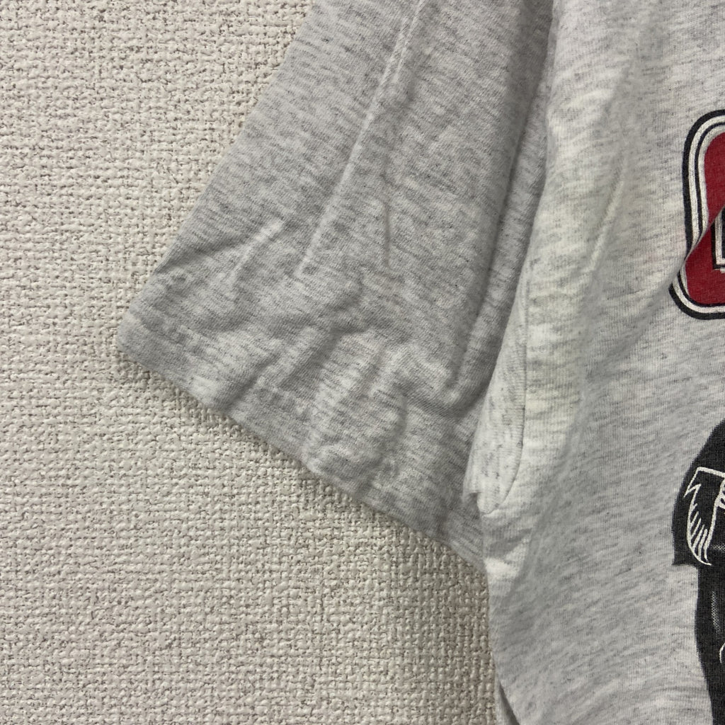 TULTEX　タルテックス　半袖プリントTシャツ　シングルステッチ　ヴィンテージ　霜降りグレー　Mサイズ カットソー メンズ コットン 古着