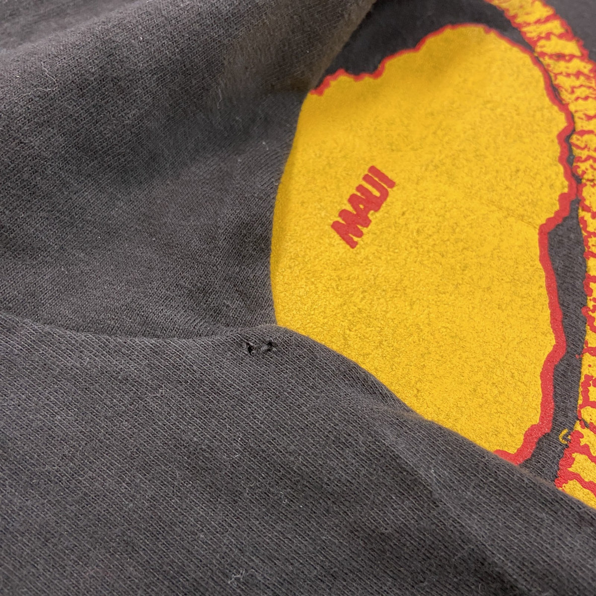Hanes　ヘインズ　半袖プリントTシャツ　シングルステッチ　ヴィンテージ　黒　ブラック　Lサイズ　古着