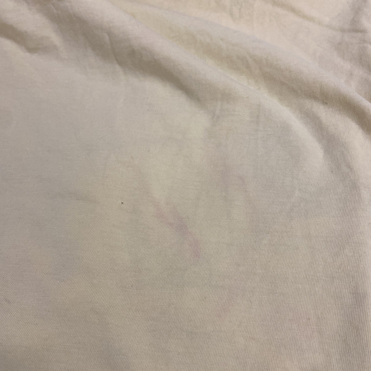 SHAMP　半袖プリントTシャツ　スケボー　スケーター　英字プリント　黄色　イエロー　Mサイズ　古着