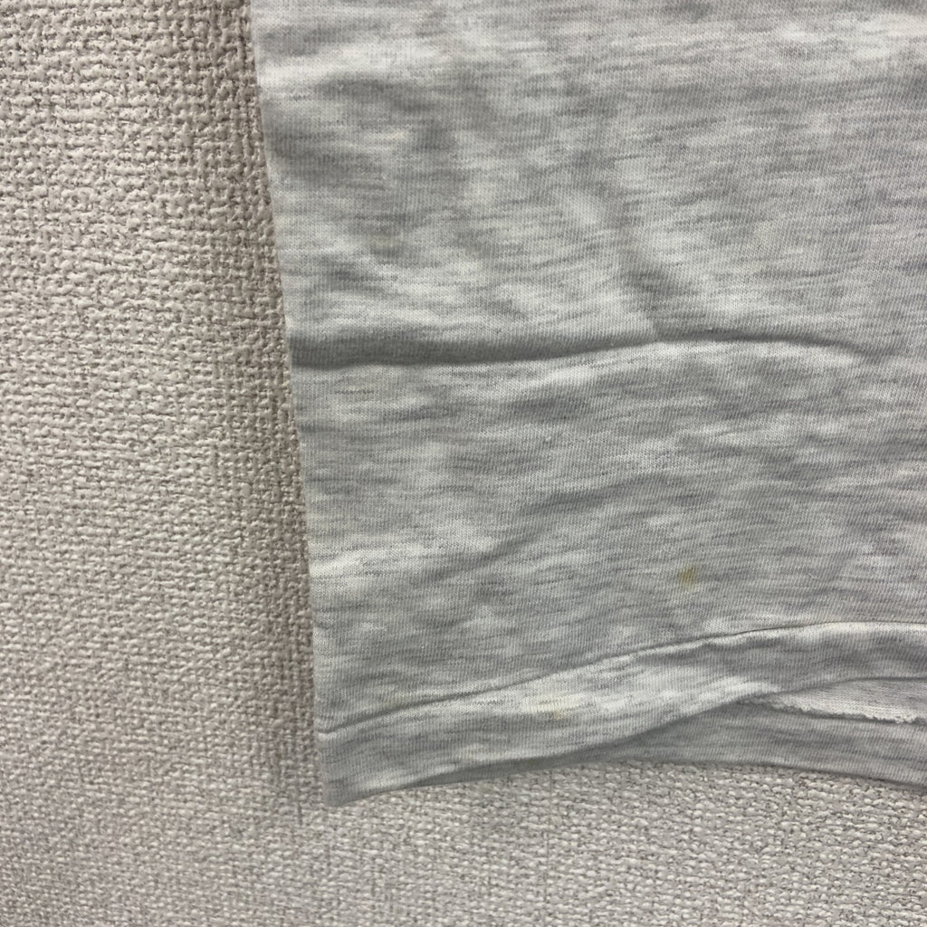 Hanes　ヘインズ　半袖プリントTシャツ　シングルステッチ　灰色　グレー　Lサイズ　古着